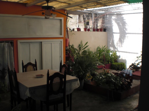 'Terraza y patio' 